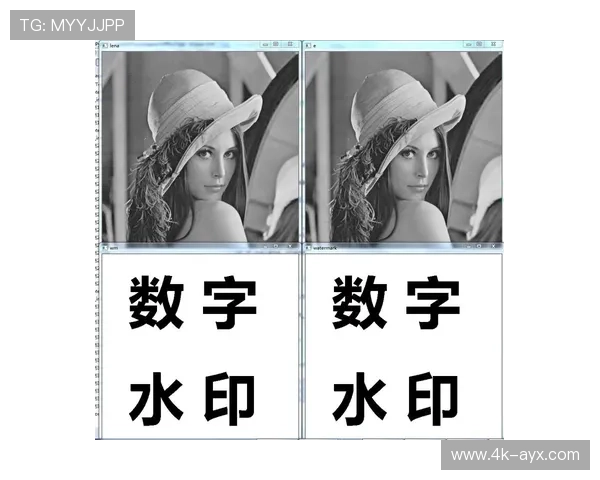 数字水印技术升级，内容溯源能力达到新高度