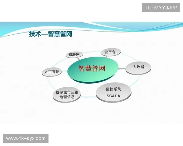 系统重构期平台功能扩展 集成服务与数据管理